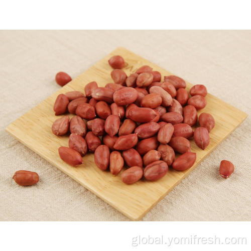 China Peanut Vs Groundnut Manufactory